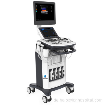 Ultraschallmaschine für medizinische Geräte für den schwangeren Gebrauch